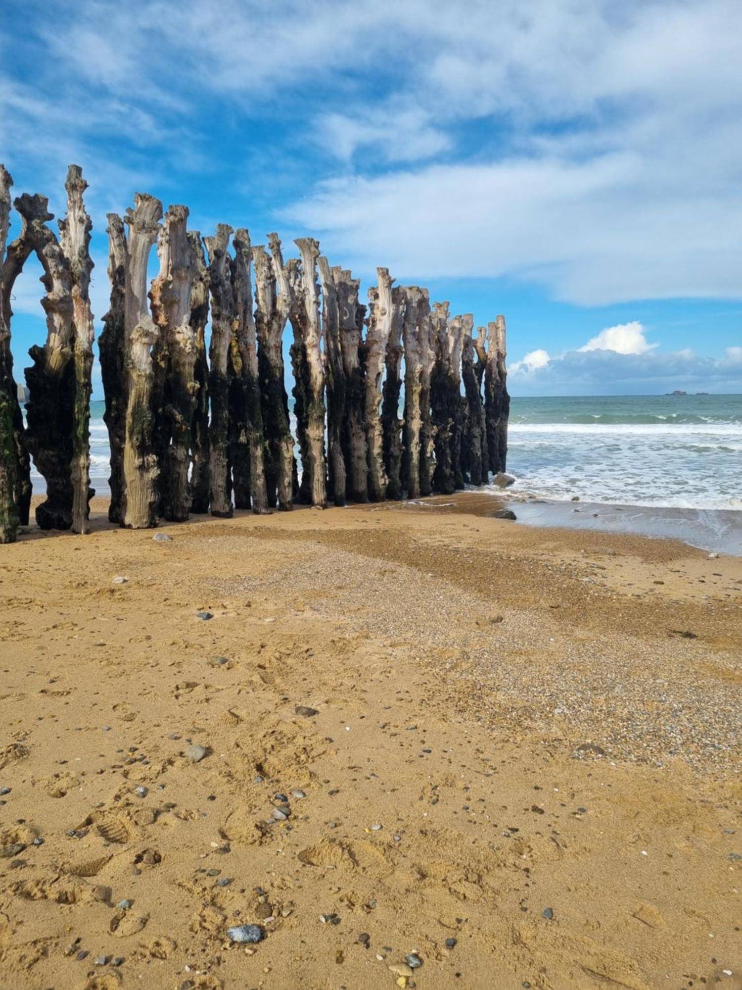 Le Mistral Du Centre Ville ,Chaleureux A 2 Min De La Plage Dinard Exteriér fotografie