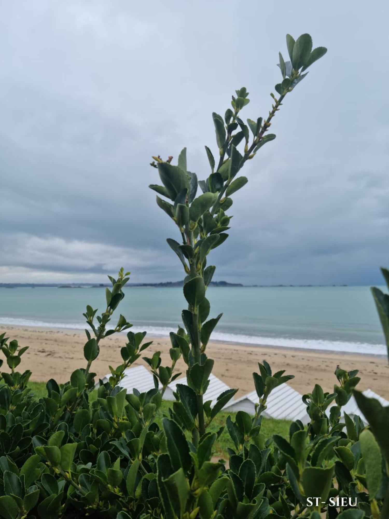 Le Mistral Du Centre Ville ,Chaleureux A 2 Min De La Plage Dinard Exteriér fotografie